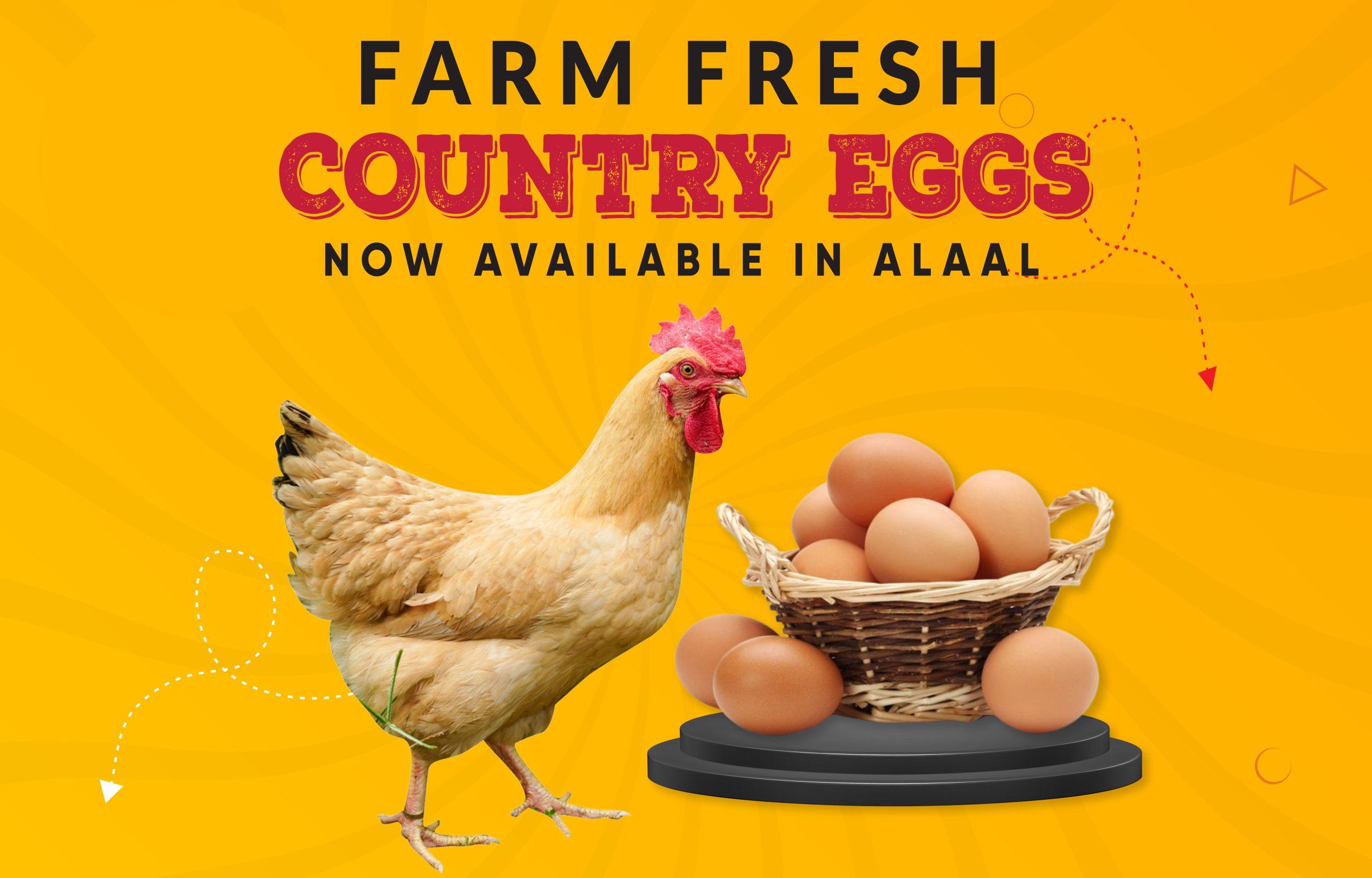 Fresh Egg Discount